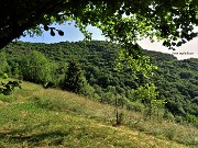 14 Poco sopra la Pernice prendo a dx il sentiero nel prato per la linea tagliafuoco visibile in alto a dx